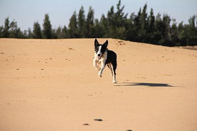 KK对战平台惊现神秘地图 修仙忍者两开花，降妖杀鬼各有精彩
